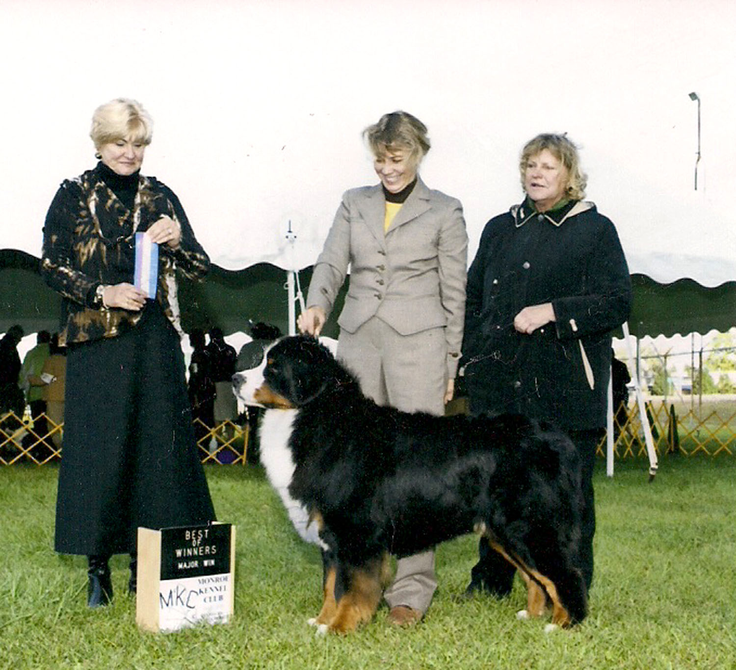 Bernese beowulf michigan